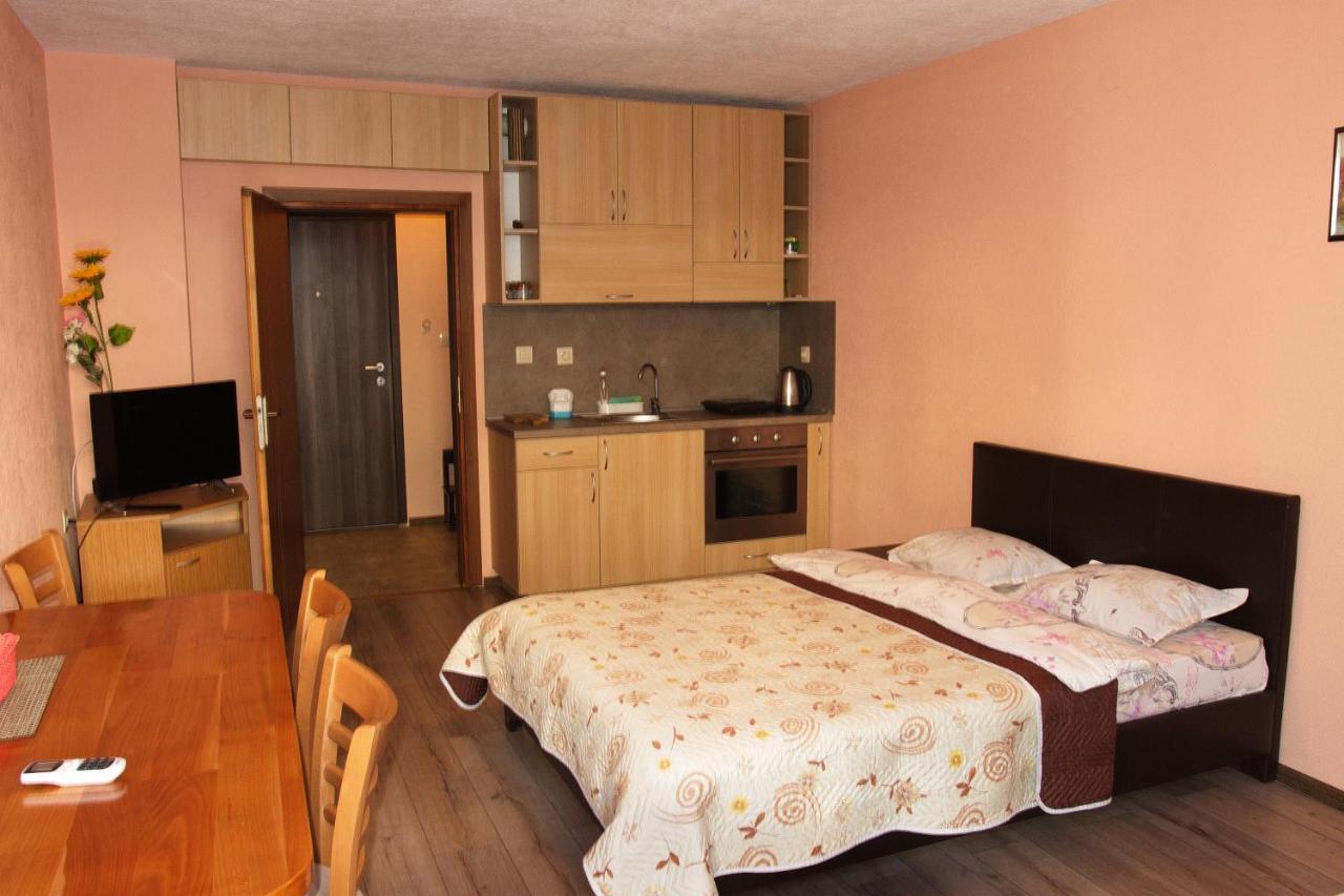 Studio Manushev Sandanski Bagian luar foto